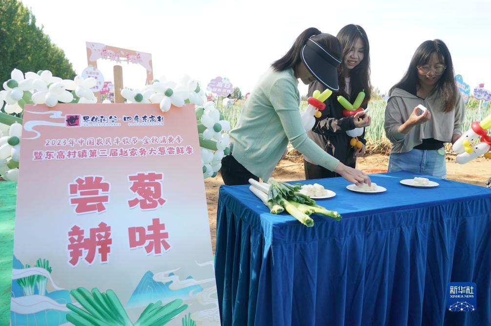 新威尼斯澳门